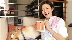 關之琳,豪宅,風水,置產,副業