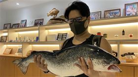 「陳金頭澤巨蜥吃鮭魚」，他在壽司郎2天優惠活動結束後，19日周五下午才去改名。（圖／王益豐提供）
