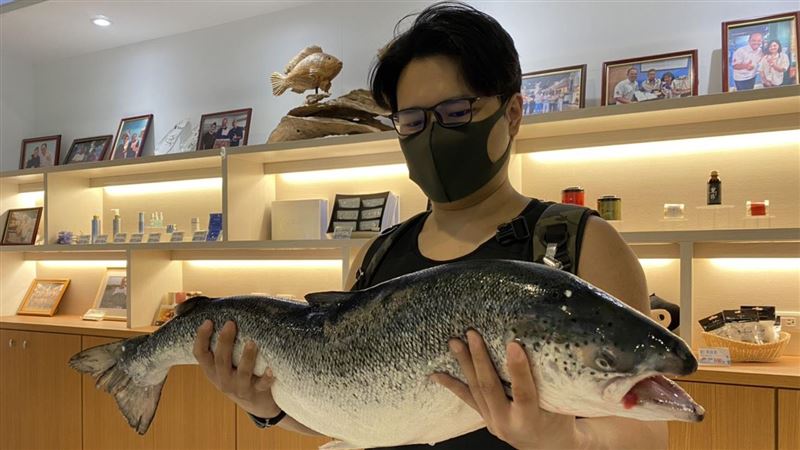 獨／不為壽司！這鮭魚改名為拿大尾魚