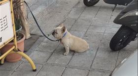 法鬥門外度咕全被錄　網：會肩頸痠痛
https://www.facebook.com/groups/StreetDetailing/permalink/3672529196129370/
圖／翻攝自路上觀察學院 臉書