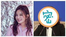 中國,張京,趙薇,翻譯,口譯