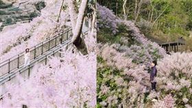 名家專用／台灣旅行趣（勿用）