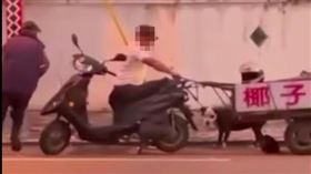 椰子伯,七星潭,總裁,踹狗,白衣男,（圖／邵柏虎授權提供）