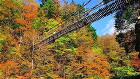 ▲（圖／業者提供）