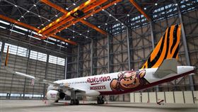 ▲樂天桃猿、台灣虎航聯名彩繪飛機。（圖／樂天桃猿提供）