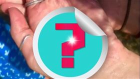 凱琳在海邊發現1隻迷你章魚，將牠捧在手心把玩。（圖／翻攝自凱琳抖音）