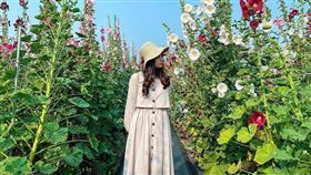 名家專用／台灣旅行趣（勿用）