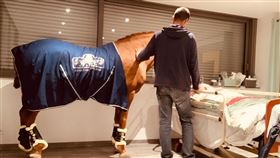 療癒馬醫生！賽馬差點被賣掉　展天賦「伴病患度最後人生」（圖／翻攝自Les Sabots Du Coeur臉書）