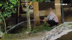 文 缺水扯澆花1200