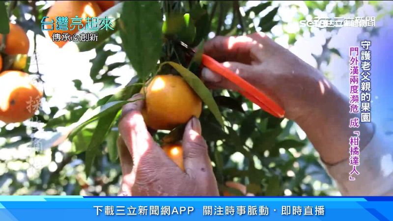 為守護父親果園　他從平凡果農變達人