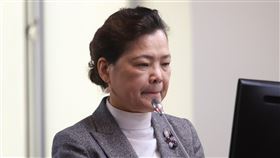 立院經濟委員會討論中油三接議題（2）中油三接天然氣接收站建置案引發破壞藻礁疑慮，立法院經濟委員會24日邀請經濟部長王美花（圖）針對此案報告備詢。中央社記者王騰毅攝  110年3月24日