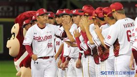 ▲樂天桃猿總教練曾豪駒。（圖／記者劉彥池攝影）