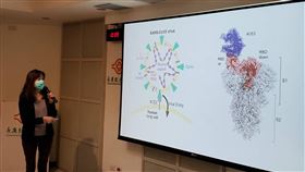 長庚大學新興病毒感染研究中心主任施信如表示，台灣團隊這次研發的試劑，是將2種最能夠和中和抗體結合的抗原放入試劑，其保存期長。（圖／記者簡浩正攝影）