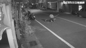 台東 7旬老婦 老嫗 打架 老人打架 （圖／記者王浩原提供）