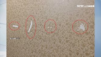 2萬8進口壁紙破洞　房客退租遭索賠