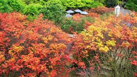 名家專用／台灣旅行趣（勿用）