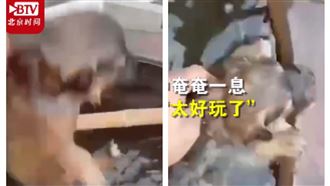小狗被扔水缸慘斷氣　飼主1句眾憤怒