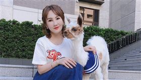 王宥忻、草尼馬LADY過世/固力狗娛樂提供