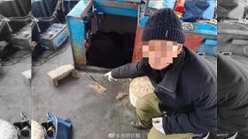 大陸,中華鱘,活化石,絕種,魚湯（圖／翻攝光明日報）