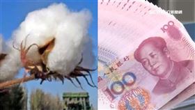 新疆棉，人民幣