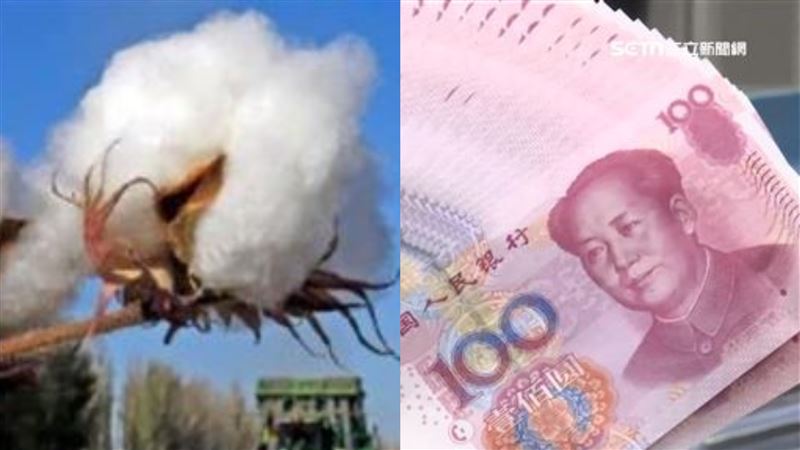 新疆棉風暴反助台灣！他：創造大機會