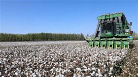 H&M拒新疆棉遭抵制！中國藝人秒切割　黃安跟風嗆：找死（圖／翻攝自黃安、CGTN微博）