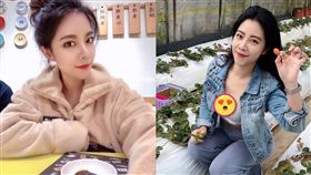 「長榮隋棠」採草莓洩上帝視角　網激讚：攝影師懂拍（圖／翻攝自古婉蓁IG）