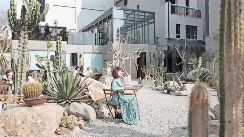 仙人掌沙漠風情　台中最紅店面登場