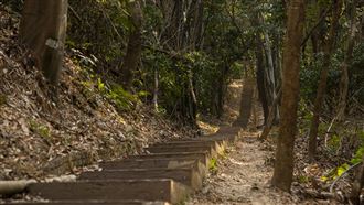 新竹秘境／揭密藏在都市中的原始森林