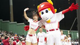 ▲味全龍小龍女啦啦隊。（圖／記者楊澍攝影）