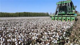 H&M拒新疆棉遭抵制！中國藝人秒切割　黃安跟風嗆：找死（圖／翻攝自黃安、CGTN微博）