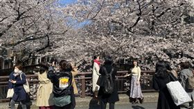 疫情未歇 日本振興國旅方案難全國重啟日本國土交通大臣（交通部長）赤羽一嘉今天表示，振興國旅的「Go To Travel」（去旅行）優惠方案很難在4月底5月初的連假（俗稱黃金週）前全國一起重啟。圖為東京中目黑賞櫻景點。中央社記者楊明珠東京攝 110年3月24日