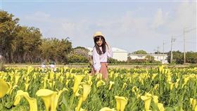 名家專用／台灣旅行趣（勿用）