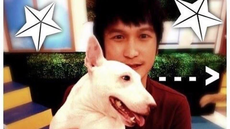 KID發照憶愛犬　網歪樓：劉文聰？