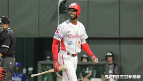 ▲味全龍洋砲赫雷拉。（圖／記者劉彥池攝影）