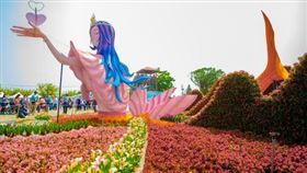 2021桃園彩色海芋季開賞！6萬株彩色海芋16天限期看（圖／翻攝自桃園市政府官網）