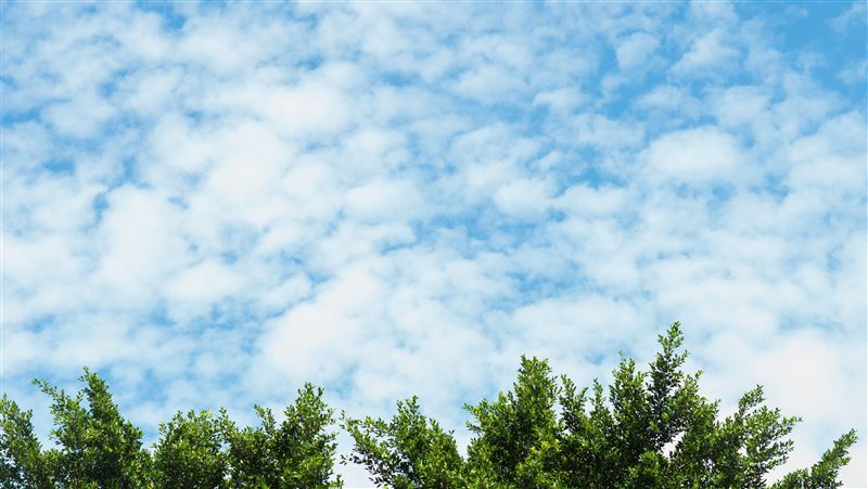 初夏感一周！「清明連假」這天鋒面到