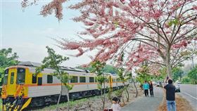 名家專用／台灣旅行趣（勿用）