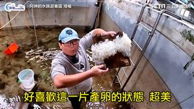 ▲（圖／阿坤的水族遊樂園 授權）