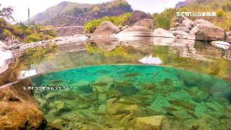 「夢幻水族箱」達娜伊谷引遊客朝聖