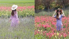 名家專用／台灣旅行趣（勿用）