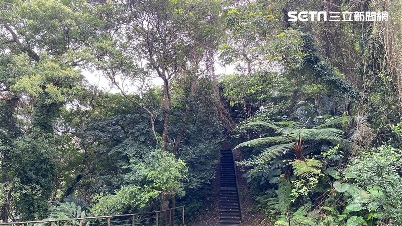 秘境／捷運就能到的「侏羅紀公園」