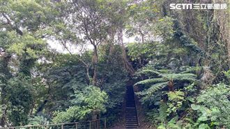 秘境／捷運就能到的「侏羅紀公園」