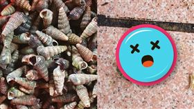 吃燒酒螺吸出綠色異形！內行人揭真相（圖／翻攝自爆系知識家臉書）