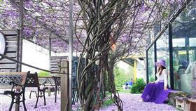 名家專用／台灣旅行趣（勿用）