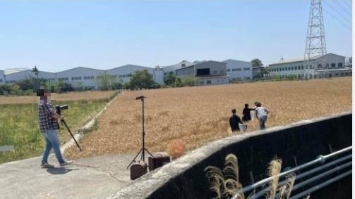 拍婚紗擅闖大雅麥田　網罵：是文盲嗎