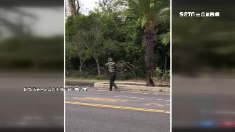 遊客馬路旁玩漆彈　被逮竟辯：迷路了