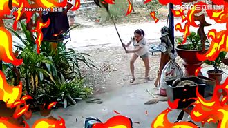 母愛超偉大！媽護兒拿掃把爆打眼鏡蛇