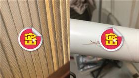 特有種,怪蟲,紗窗,台灣鞭蠍(翻攝自 Dcard)