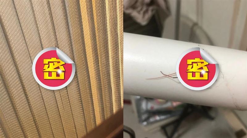她秒殺怪蟲　一查價錢傻了：是特有種